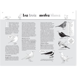 La Hulotte N°113 : Le monocle d'or (Le Merle noir)