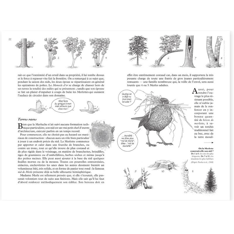 La Hulotte N°113 : Le monocle d'or (Le Merle noir)