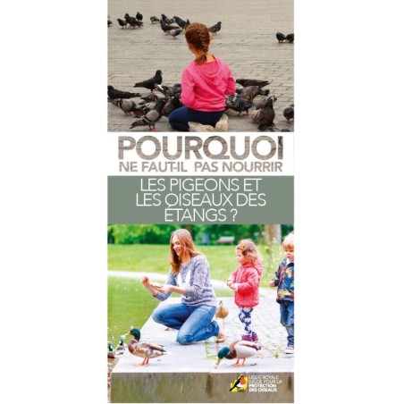 Flyer "Pourquoi ne faut-il pas nourrir les pigeons et les oiseaux des étangs ?" - Dépliant