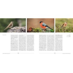 Une histoire contemporaine des oiseaux de France