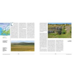 Une histoire contemporaine des oiseaux de France