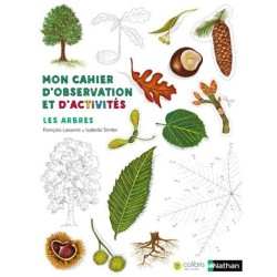 Les insectes - Mon cahier d'observation et d'activités