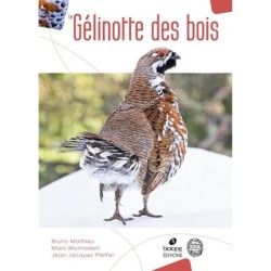 La Gélinotte des bois La Gélinotte des bois