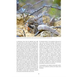 La Gélinotte des bois La Gélinotte des bois