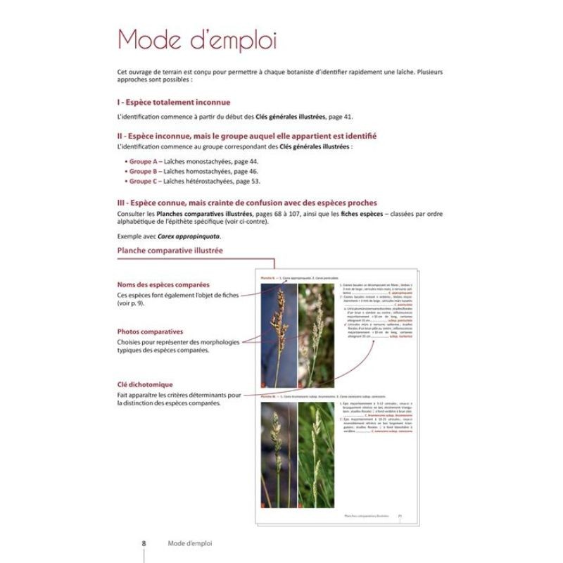 Guide expert des Carex de France