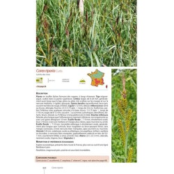 Guide expert des Carex de France