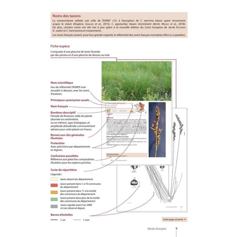 Guide expert des Carex de France