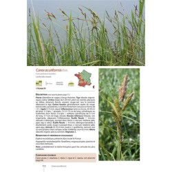 Guide expert des Carex de France