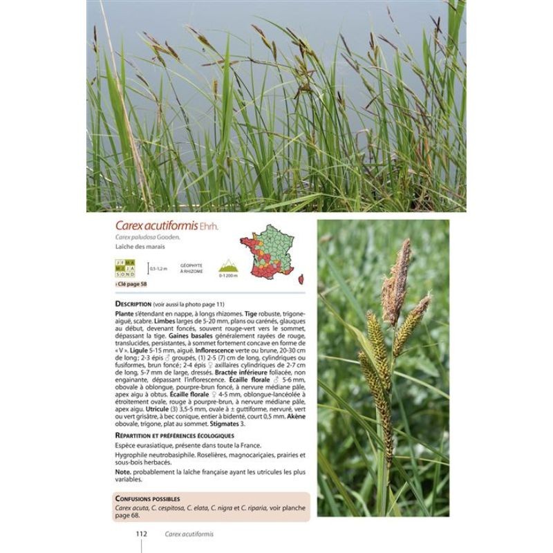 Guide expert des Carex de France