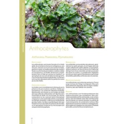 Guide expert des Mousses et Hépatiques de France - 3e édition enrichie