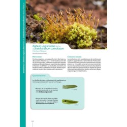 Guide expert des Mousses et Hépatiques de France - 3e édition enrichie