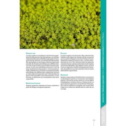 Guide expert des Mousses et Hépatiques de France - 3e édition enrichie