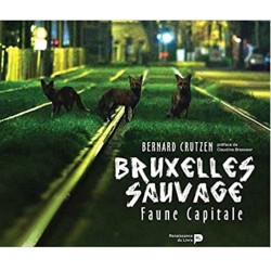 Bruxelles sauvage - Faune capitale