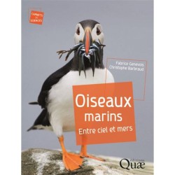 Oiseaux marins - Entre ciel et mers