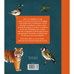 Beautés sauvages - faune Beautés sauvages - faune