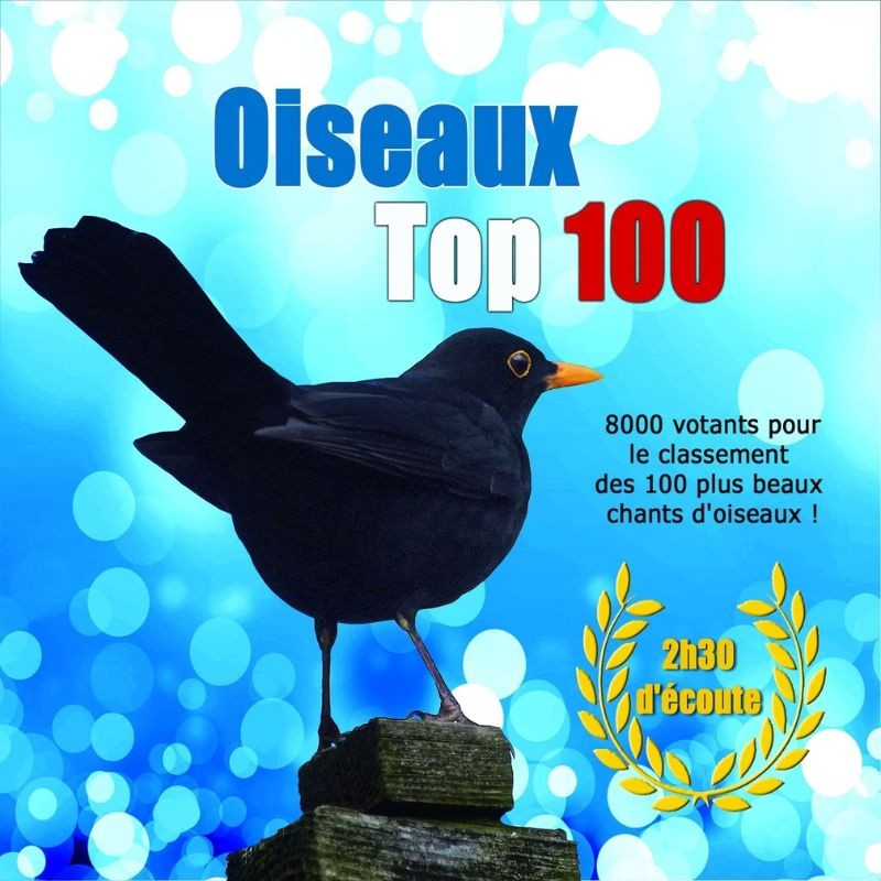 Oiseaux Top 100