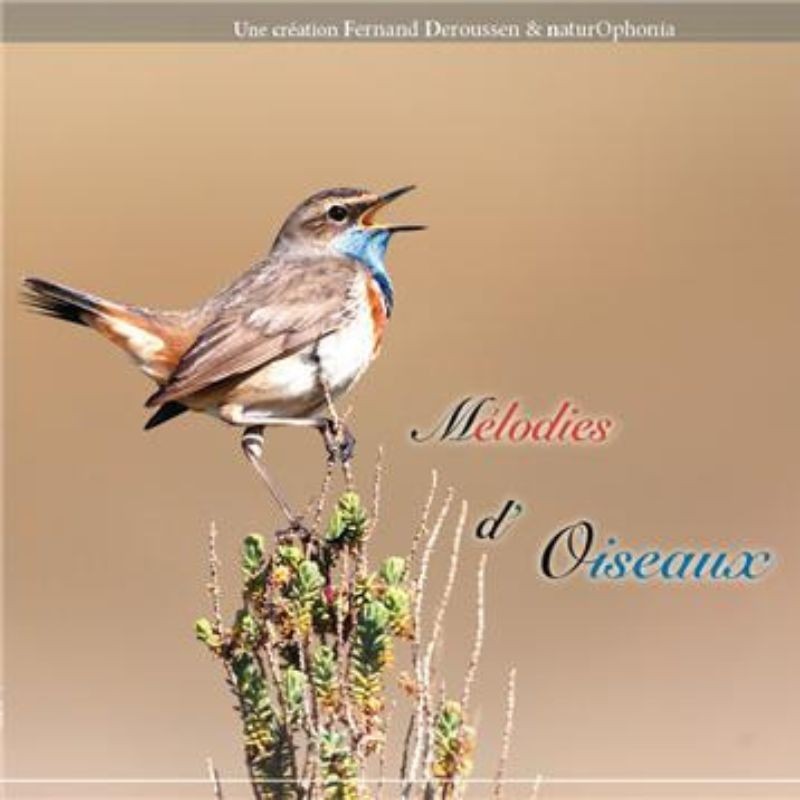 Mélodies d'oiseaux
