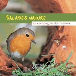 Balades nature en compagnie des oiseaux
