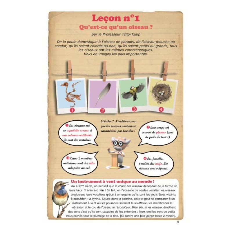 Dans la nature faut pas confondre les oiseaux