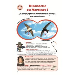 Dans la nature faut pas confondre les oiseaux