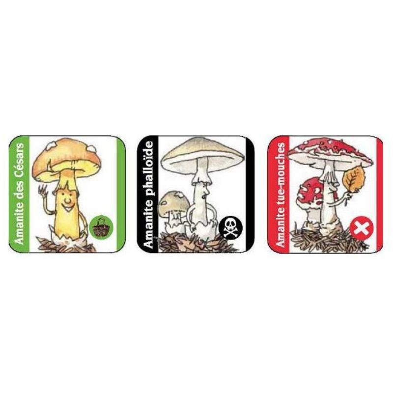 Cryptogame - le jeu des champignons