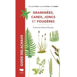 Graminées, carex, joncs et fougères - Toutes les herbes d'Europe