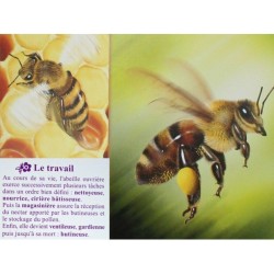 7 Familles - Le Monde des abeilles