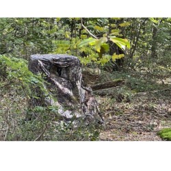 Tente de camouflage pour chaises d'affût Lagopus S et B
