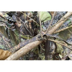 Tente de camouflage pour chaises d'affût Lagopus S et B