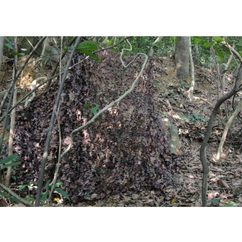 Filet de camouflage 1,5x5 pour affûts d'observation Filet de camouflage 1,5x5 pour affûts d'observation