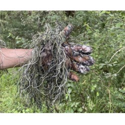Gants Ghillie