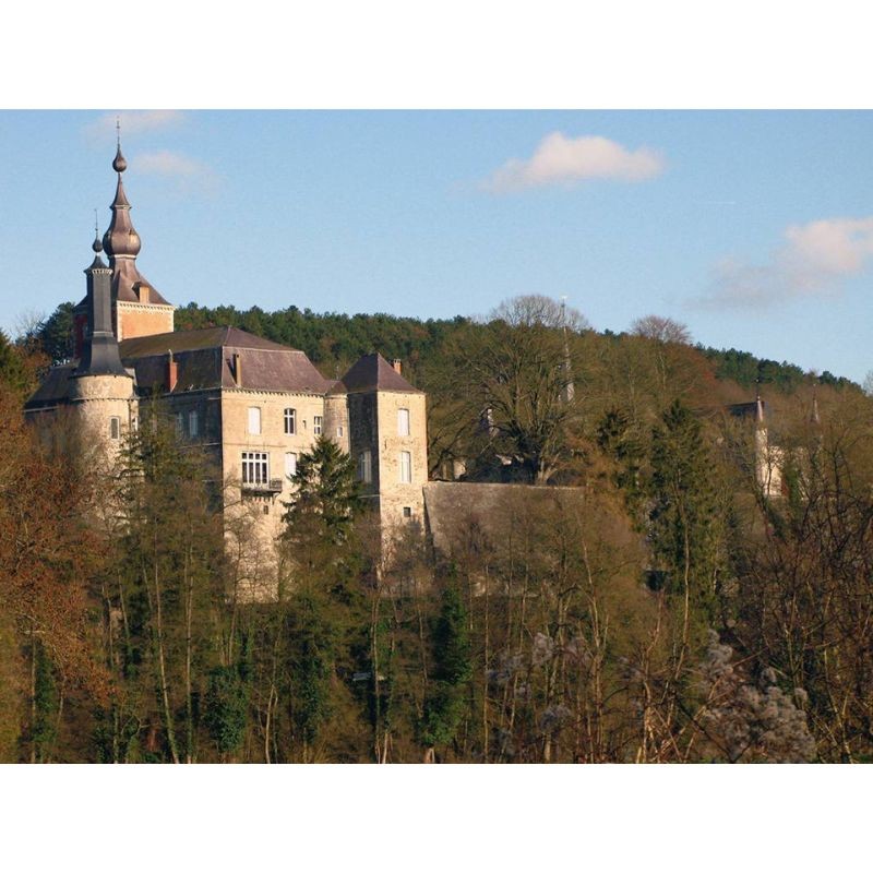 Randonnées en Boucle dans la province de Namur - Tome 1