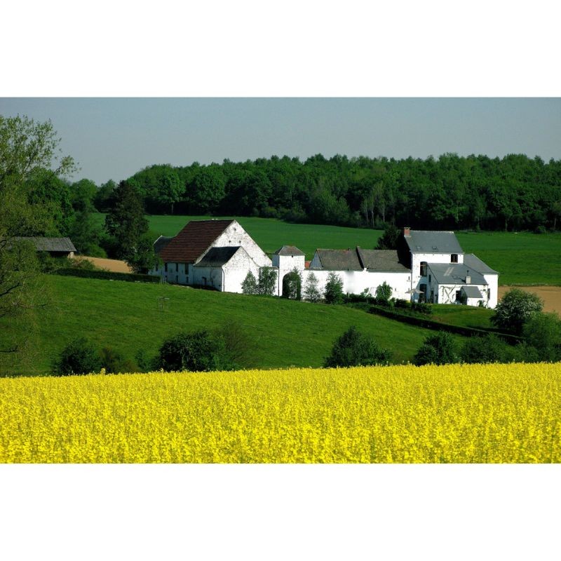 Randonnées en Boucle dans la province de Namur - Tome 1