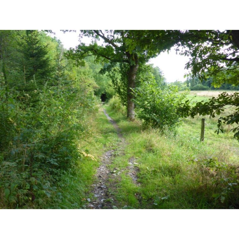 Randonnées en Boucle dans la province de Luxembourg - Tome 2 Randonnées en Boucle dans la province de Luxembourg - Tome 2