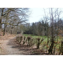 Randonnées en Boucle dans la province de Liège - Tome 1 Randonnées en Boucle dans la province de Liège - Tome 1