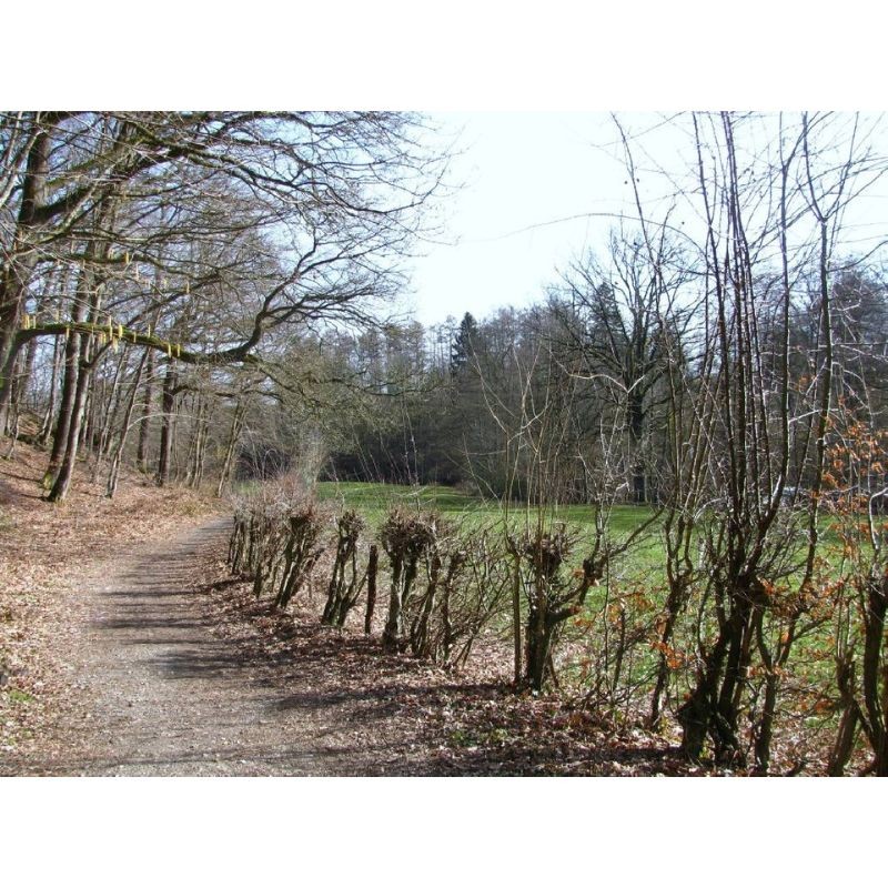 Randonnées en Boucle dans la province de Liège - Tome 1 Randonnées en Boucle dans la province de Liège - Tome 1