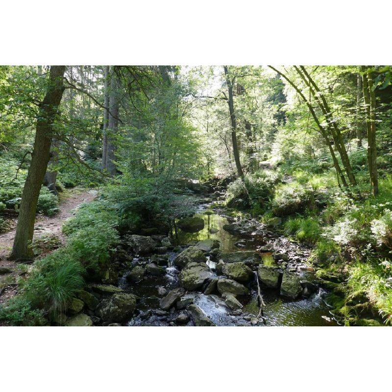 Randonnées en Boucle dans la province de Liège - Tome 1 Randonnées en Boucle dans la province de Liège - Tome 1