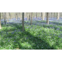 Randonnées en Boucle dans la province du Brabant wallon