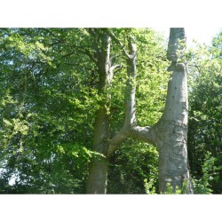 Randonnées en Famille dans la province de Liège