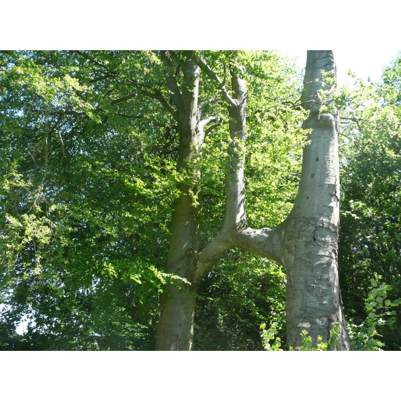 Randonnées en Famille dans la province de Liège