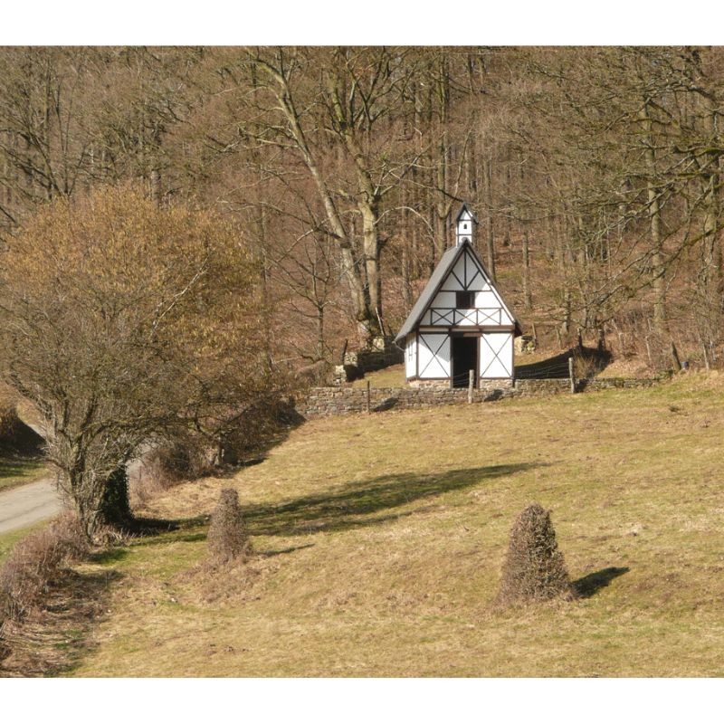 Randonnées en Famille dans la province de Liège