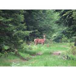 Randonnées en Famille dans la province de Liège