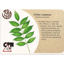 Kiquimank ? Feuilles - Une feuille sest envolée, à vous de la retrouver ! Kiquimank ? Feuilles - Une feuille sest envolée, à vous de la retrouver !