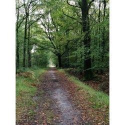 GRP 123 - Tour de la Wallonie picarde GRP 123 - Tour de la Wallonie picarde