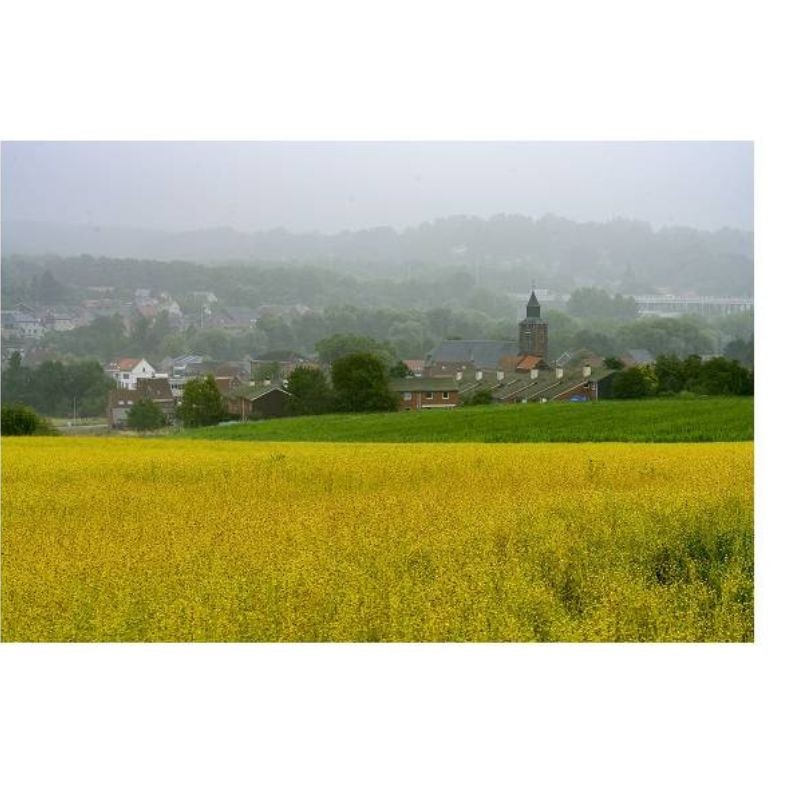 GRP 127 - Tour du Brabant wallon