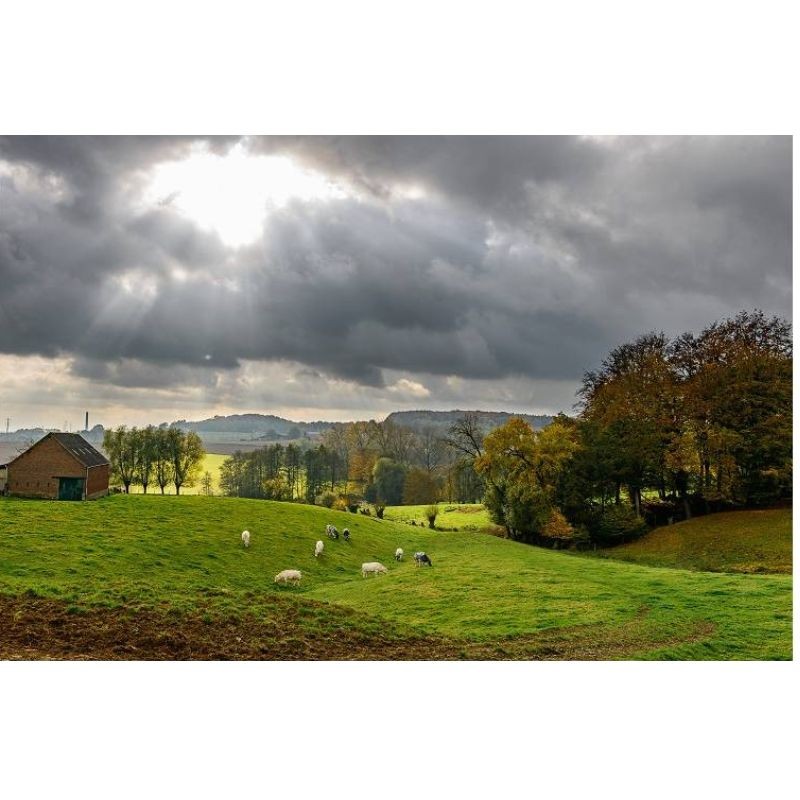 GRP 127 - Tour du Brabant wallon