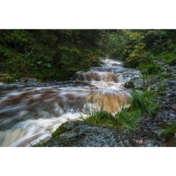 Sentier des Monts d'Ardenne (SMA) Sentier des Monts d'Ardenne (SMA)