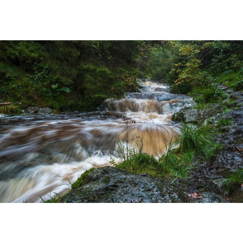 Sentier des Monts d'Ardenne (SMA) Sentier des Monts d'Ardenne (SMA)