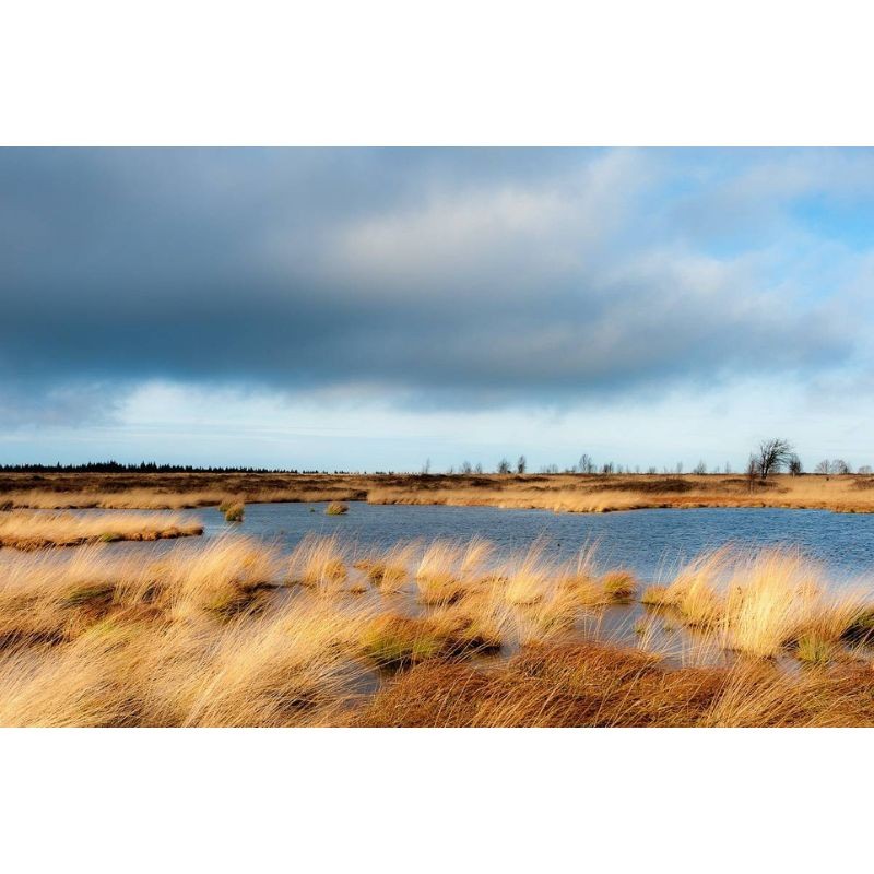 Sentier des Monts d'Ardenne (SMA) Sentier des Monts d'Ardenne (SMA)