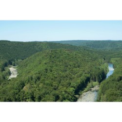 GR 16 - Sentier de la Semois